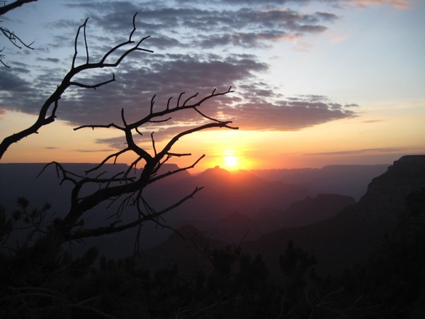 branch-silhouette-grand-canyon-sunrise-horizon.jpg Branch silhouette grand canyon sunrise horizon