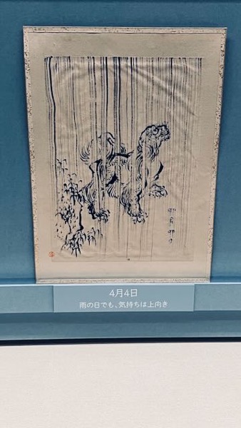 IMG 0623